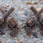 CN023F- 2 CROSS GUN SHOOTING RHINESTONE  CRYSTAL CONCHOS BLING HEADSTALL TACK