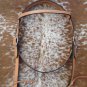 NEW HILASON COWHIDE LEATHER HORSE BRIDLE HEADSTALL WESTERN TACK NATURAL429HSS