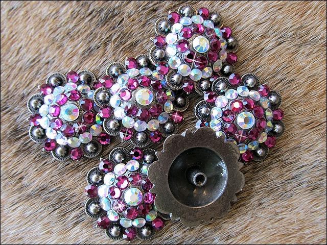 10x Conchos Western Ovales Argent Clair Strass Roses - 35x25mm, Vis à L'arrière