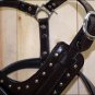 F-DH300 Genuine Leather Brown Dog Harness With Leash - SML