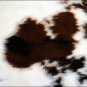 HS779F- HILASON HAIR-ON LEATHER FULL PURE ARGENTINA COWHIDE SKIN RUG CARPET