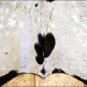 HS781F- HILASON HAIR-ON LEATHER FULL PURE ARGENTINA COWHIDE SKIN RUG CARPET