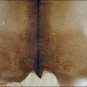 HS787F- HILASON HAIR-ON LEATHER PURE ARGENTINA FULL CALF COWHIDE SKIN RUG CARPET