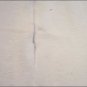 HS793F- HILASON HAIR-ON LEATHER PURE ARGENTINA FULL CALF COWHIDE SKIN RUG CARPET