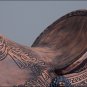WD700-F HILASON BIG KING SERIES WESTERN WADE RANCH ROPING COWBOY TRAIL SADDLE 15