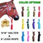 NEW PROFESSIONAL 5/16 in. POLY ROPE HALTER HEADSTALL W/ 8 ft. LEAD - HORSE SIZE