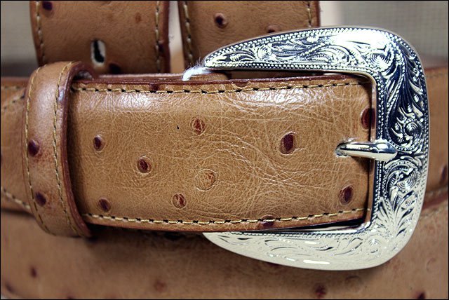 tony lama men's ostrich belts
