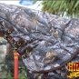 78" HILASON 1200D WATERPROOF POLY TURNOUT HORSE BLANKET NECK COVER CAMO PRINTS