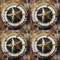 TEXAS STAR GOLD CONCHO SADDLE HEADSTALL TACK BLING COWGIRL