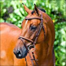 HORZE CONSTANCE PADDED FLASH HORSE LEATHER BRIDLE BROWN COB SIZE