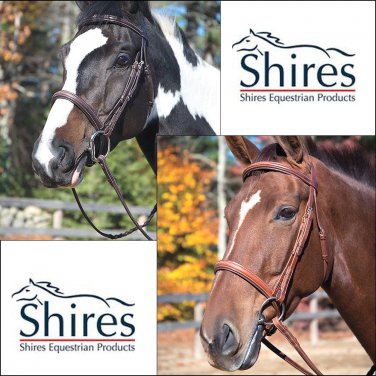 SHIRES EQUESTRIAN WESTERN HORSE MANCHESTER PADDED BRIDLE