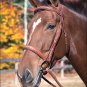 SHIRES EQUESTRIAN WESTERN HORSE MANCHESTER PADDED BRIDLE