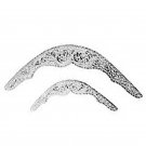 HILASON PAIR OF SHOW SADDLE CORNER PLATE SILVER PLATED 1 x 6-3/4 INCHES
