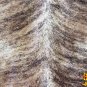 H151F HILASON HAIR ON LEATHER BRAZILIAN COWHIDE SKIN RUG CARPET EXOTIC TRI COLOR