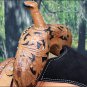 HILASON WESTERN LEATHER BARREL RACING TRAIL SADDLE 16 W/ HEADTALL BREAST COLLAR