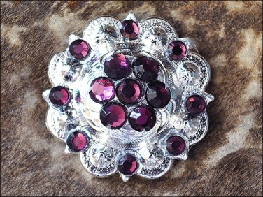 1 AMETHYST CRYSTAL BERRY CONCHO RHINESTONE HEADSTALL SADDLE TACK BLING COWGIRL