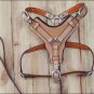 DH201-F HILASON TAN PADDED GENUINE LEATHER DOG HARNESS WITH MATCHING LEASH LRG