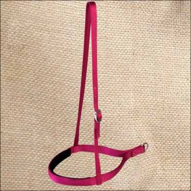 NEW RASPBERRY HILASON WESTERN TACK 1 INCH 2 PLY NYLON HORSE NOSEBAND
