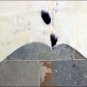 SE172F HILASON HAIR ON LEATHER ARGENTINA COWHIDE SKIN RUG CARPET EXOTIC TRICOLOR