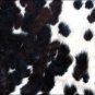 SE172F HILASON HAIR ON LEATHER ARGENTINA COWHIDE SKIN RUG CARPET EXOTIC TRICOLOR