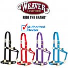 WEAVER HORSE ADJUSTABLE HYBRID HALTER TRAINING BLACK / BLUE / PURPLE / RED