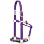 WEAVER HORSE ADJUSTABLE HYBRID HALTER TRAINING BLACK / BLUE / PURPLE / RED