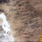 H150F HILASON HAIR ON LEATHER BRAZILIAN COWHIDE SKIN RUG CARPET EXOTIC TRI COLOR