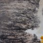 H149F HILASON HAIR ON LEATHER BRAZILIAN COWHIDE SKIN RUG CARPET EXOTIC TRI COLOR