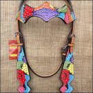 V1 HILASON WESTERN LEATHER HORSE BRIDLE HEADSTALL HAND PAINT RAINBOW
