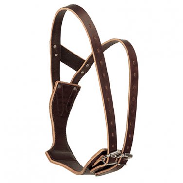 WEAVER LEATHER MEDIUM MIRACLE HAVANA HORSE BREAST COLLAR WITH NON RUST SS
