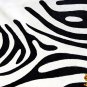 H192F HILASON HAIR ON LEATHER PURE BRAZILIAN COWHIDE SKIN RUG CARPET ZEBRA PRINT