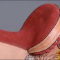 TT296-F HILASON FLEX-TREE BARREL RACING TRAIL RIDING WESTERN SADDLE 16"