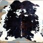 SE181F HILASON HAIR ON LEATHER ARGENTINA COWHIDE SKIN RUG CARPET EXOTIC TRICOLOR