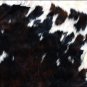 SE181F HILASON HAIR ON LEATHER ARGENTINA COWHIDE SKIN RUG CARPET EXOTIC TRICOLOR