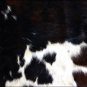 SE181F HILASON HAIR ON LEATHER ARGENTINA COWHIDE SKIN RUG CARPET EXOTIC TRICOLOR