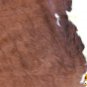 H155F HILASON HAIR ON LEATHER BRAZILIAN COWHIDE SKIN RUG CARPET EXOTIC TRI COLOR