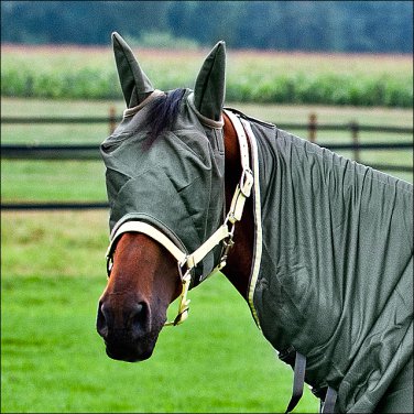 MEDIUM HORZE SOFT POLYESTER DURABLE COMFORTABLE  FLY MASK W/ FLEECE GREEN