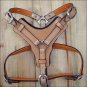 201 HILASON TAN PADDED GENUINE LEATHER DOG HARNESS WITH MATCHING LEASH ALL SIZES