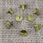 3/8" HILASON WESTERN HORSE SADDLE TACK CHICAGO SCREW BRASS PLATED 10 SET
