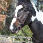 X FULL SHIRES EQUESTRIAN HORSE MANCHESTER PADDED BRIDLE W/ SS HOOK DARK HAVANA