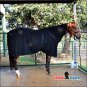 CLASSIC EQUINE PREMIUM POLAR 380GSM HORSE FLEECE COOLAR BLACK