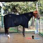 CLASSIC EQUINE PREMIUM POLAR 380GSM HORSE FLEECE COOLAR BLACK