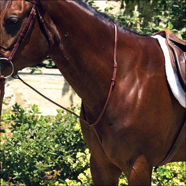 PERRIS CHESTNUT COB LEATHER PROFESSIONAL RAISED STANDING MARTINGALE TACK HORSE