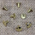 1/2" HILASON WESTERN HORSE SADDLE TACK CHICAGO SCREW BRASS PLATED 10 SET
