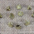 1/4" HILASON WESTERN HORSE SADDLE TACK CHICAGOBRASS PLATED SCREW 10 SET