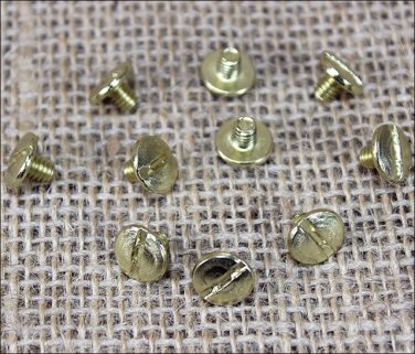 1/4" HILASON WESTERN HORSE SADDLE TACK CHICAGOBRASS PLATED SCREW 10 SET