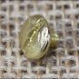 1/4" HILASON WESTERN HORSE SADDLE TACK CHICAGOBRASS PLATED SCREW 10 SET