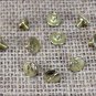 1/4" HILASON WESTERN HORSE SADDLE TACK CHICAGOBRASS PLATED SCREW 10 SET