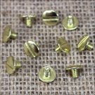 1/4" HILASON WESTERN HORSE SADDLE TACK CHICAGO SCREW BRASS PLATED 10 SET
