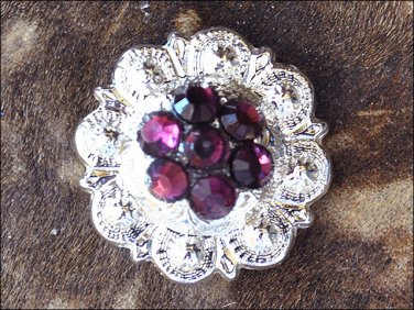SET OF 8 CRYSTAL AMETHYST BERRY CONCHO RHINESTONE HEADSTALL SADDLE BLING COWGIRL